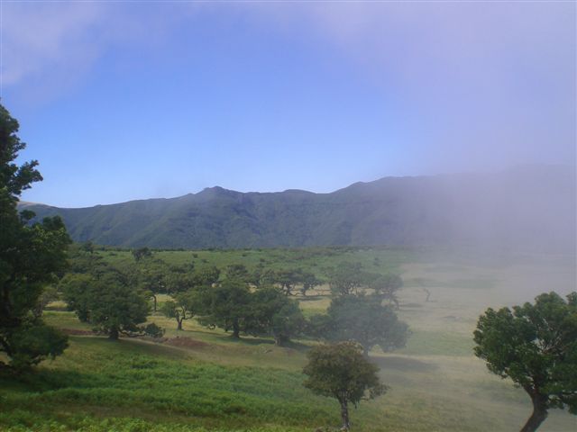 Madeira0717.JPG