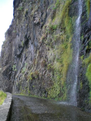 Madeira225.JPG