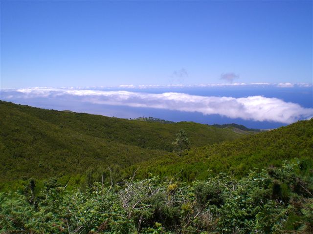 Madeira236.JPG